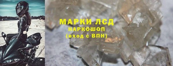 прущие грибы Володарск