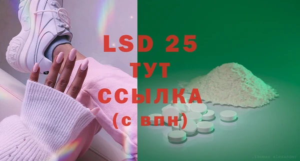 индика Волосово