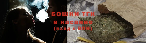прущие грибы Володарск
