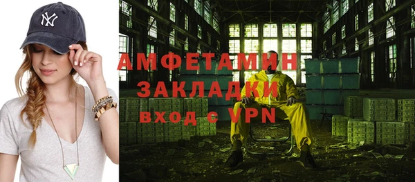 индика Волосово