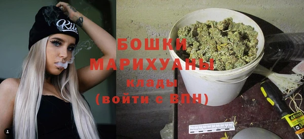 индика Волосово