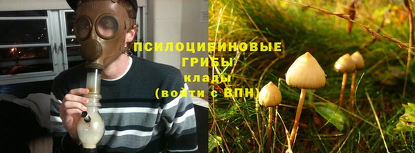 индика Волосово