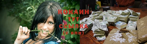 прущие грибы Володарск