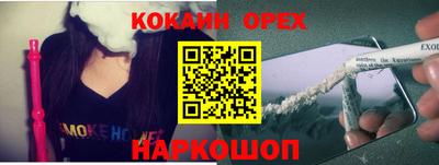 крисы Камышлов
