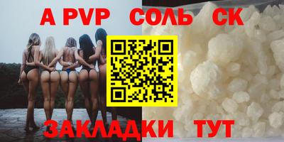 крисы Камышлов