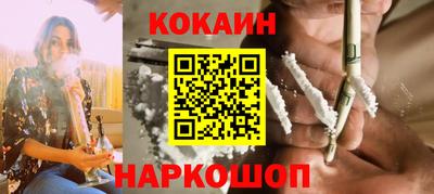 крисы Камышлов