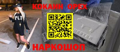 крисы Камышлов