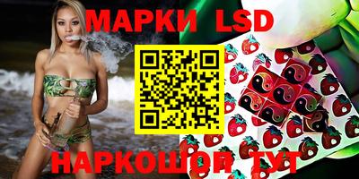 крисы Камышлов