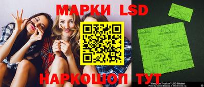 крисы Камышлов