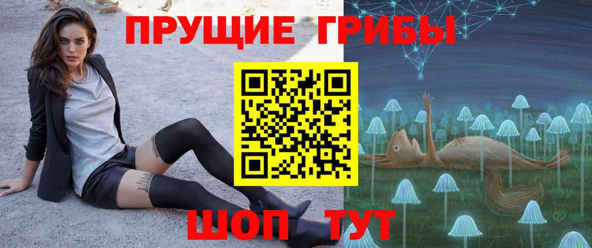 Назарово  Галлюциногенные грибы Psilocybe  Вход с VPN 